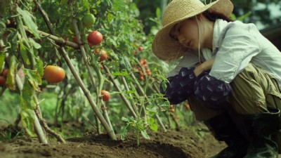 Cánh Đồng Nhỏ: Mùa Hạ Và Thu - Little Forest: Summer/Autumn