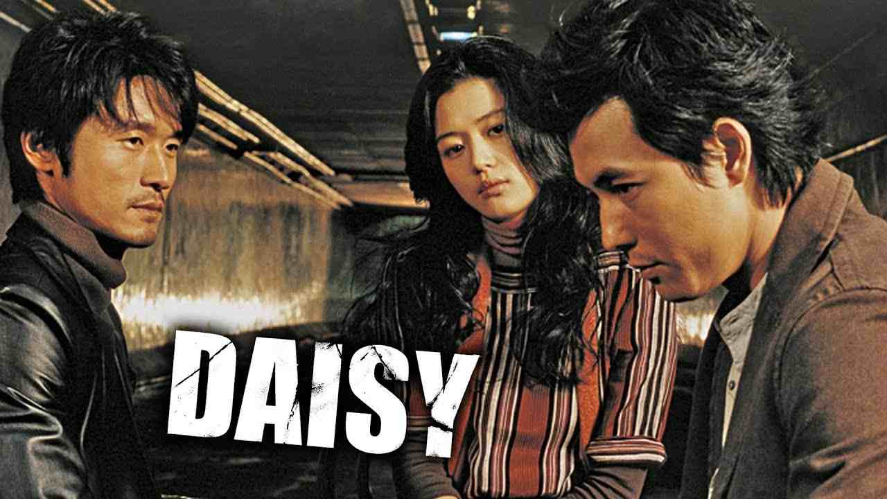 Hoa Cúc Dại - Daisy