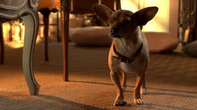 Nữ Minh Tinh và Chàng Lãng Tử 3: Bữa Tiệc Lớn! Beverly Hills Chihuahua 3: Viva la Fiesta!