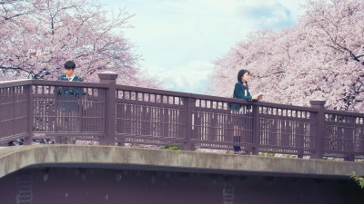 Tớ Muốn Ăn Tụy Của Cậu Let Me Eat Your Pancreas